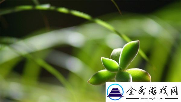 特殊游樂園hgl