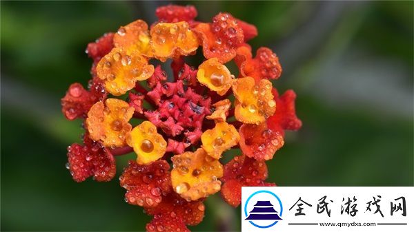 你聽暗涌了1V1陸擇