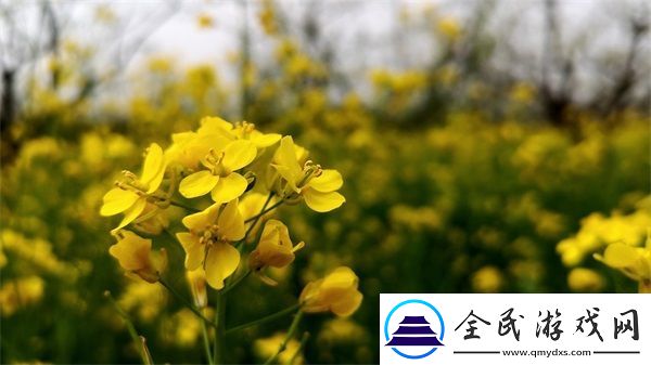 免費國外b站刺激戰場直播app