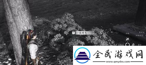 燕云十六聲失竊的頭壇酒任務攻略