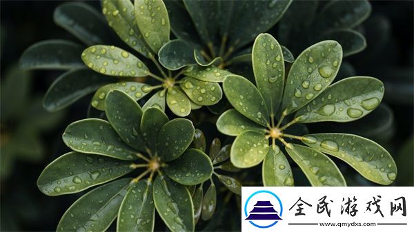 好兄弟當(dāng)我面給我老婆夾菜正常嗎