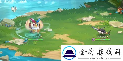 西普大陸波尼獲得方法