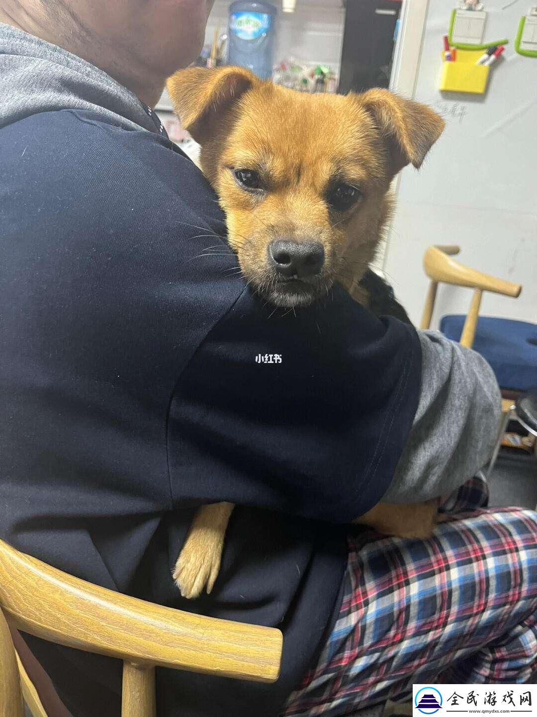 “哎呦