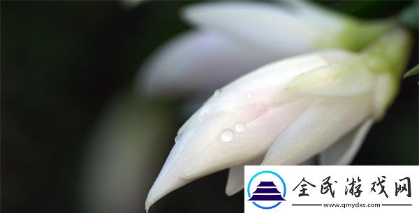 國產(chǎn)max323芯片的市場應(yīng)用