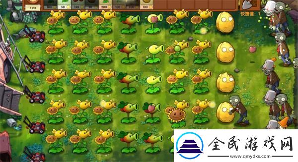 植物大戰僵尸融合版冒險模式第3關通關攻略