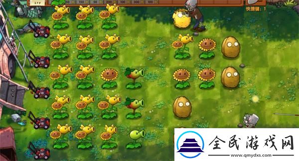 植物大戰僵尸融合版冒險模式第3關通關攻略