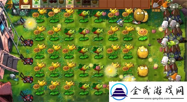 植物大戰僵尸融合版冒險模式第3關通關攻略