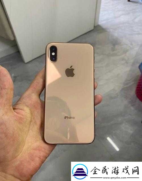 IPHONEXSMAX歐美高級