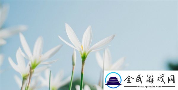 授課方式by肉餡小水餃的動漫