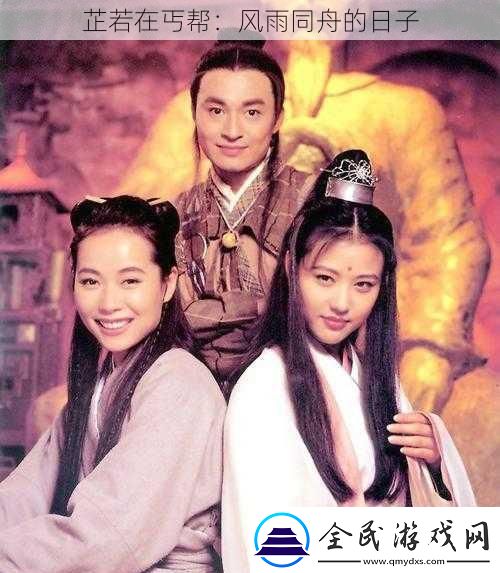 芷若在丐幫