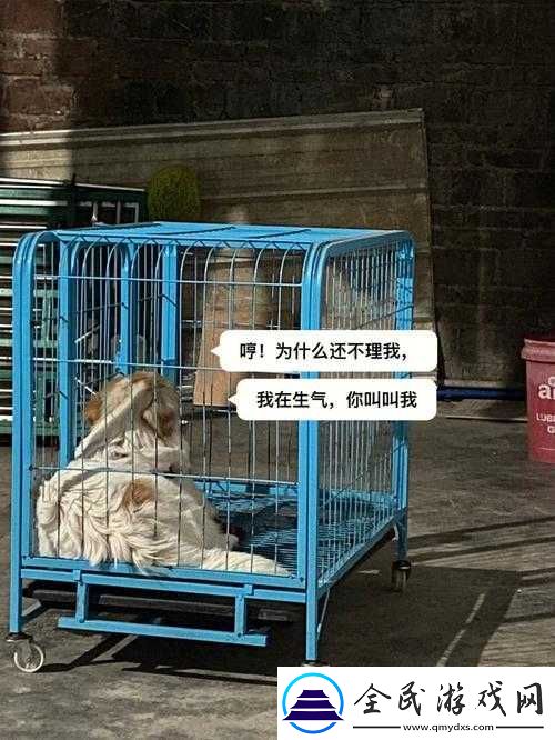 老牛嫩草一二三產(chǎn)品區(qū)別大揭秘之詳細(xì)分析