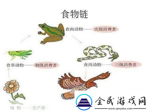 洗手間截了一段小視頻食物鏈