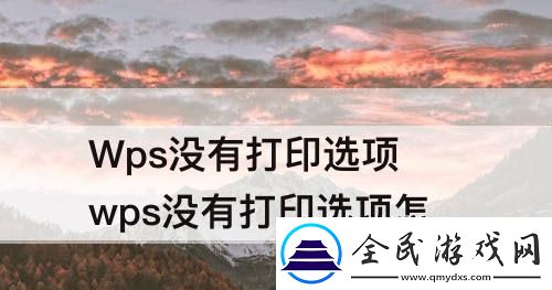 wps沒有打印選項怎么辦