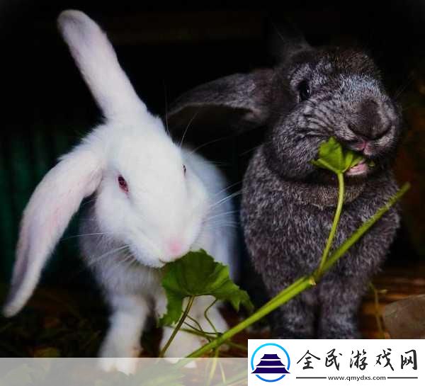 男友咬我小兔子的感覺