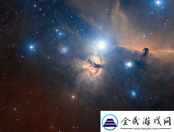 老公每天吃我小花園中的新鮮蔬菜和水果會傷肝嗎