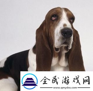 憨態(tài)可掬