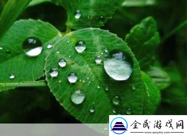 此生相許