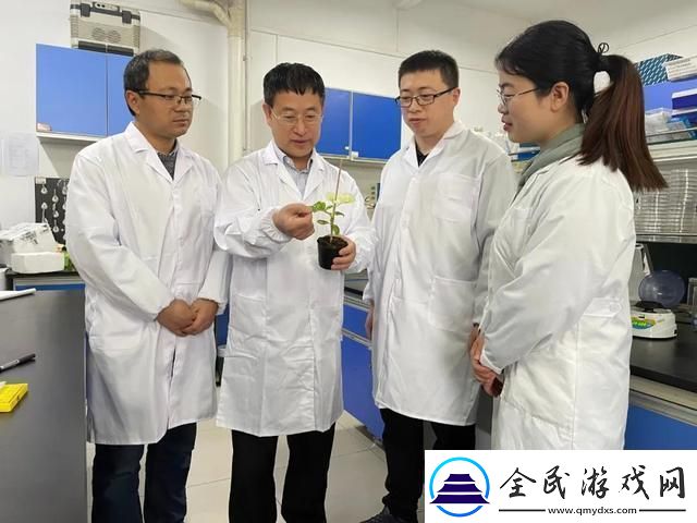 畜牧新篇
