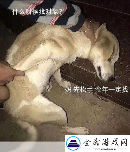 啊哈哈哈哈主人我錯了