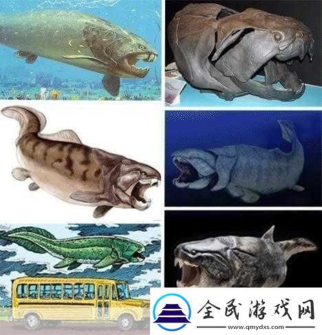 得到超級肉禽系統的紫嶺紅山有什么特別之處