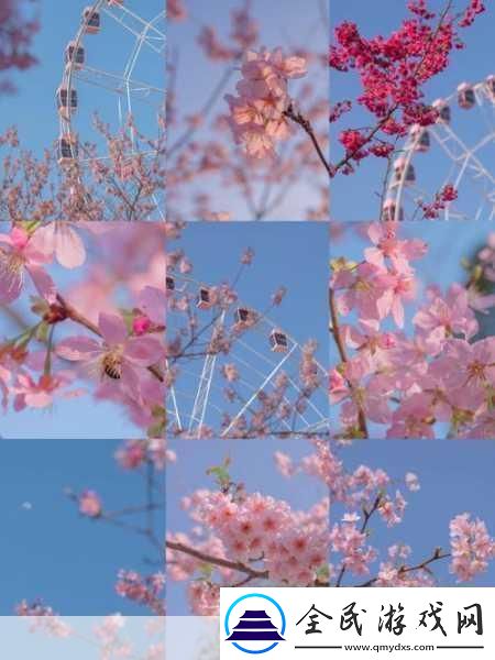 櫻花16Q906A櫻花16Q906A
