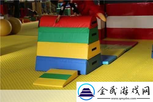 下課后體育器材室下種