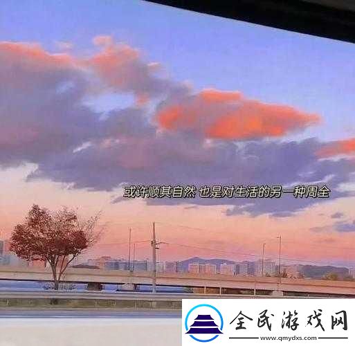 zw時看的文案