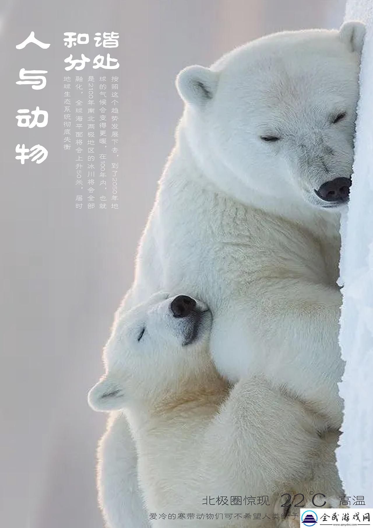 喵星人與人類