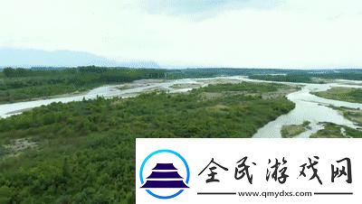 探索免費(fèi)X站的寶藏