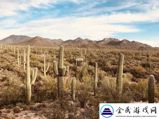 妹妹窩人體色