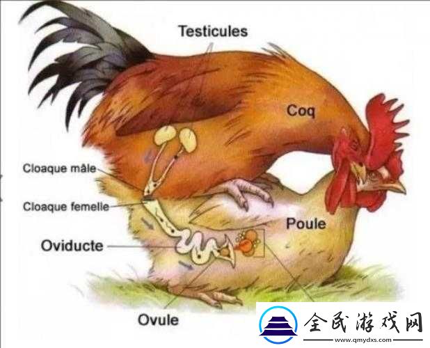 優質**灌溉系統助力植物生長與繁衍