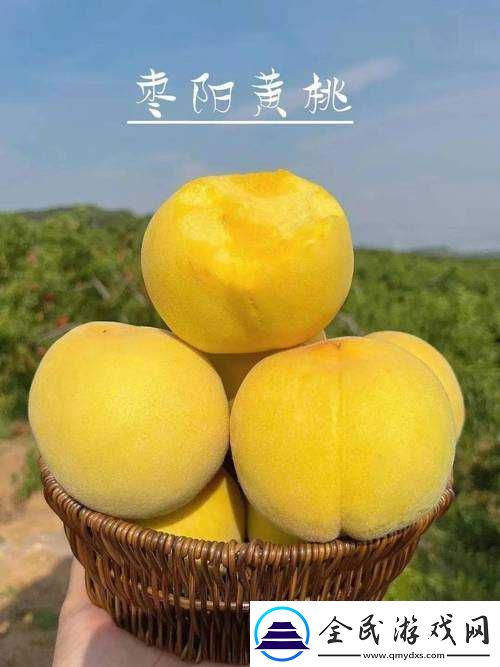 9612黃桃站手機據(jù)說可以讓你告別煩惱