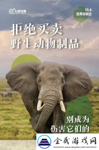 人與畜禽共性關系的重要性意義-1.-人與畜禽共生關系對生態平衡的影響