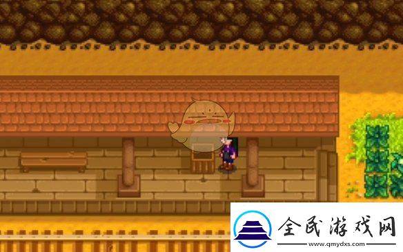 星露谷物語神秘的齊任務怎么做