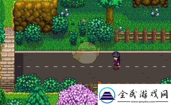 星露谷物語神秘的齊任務怎么做