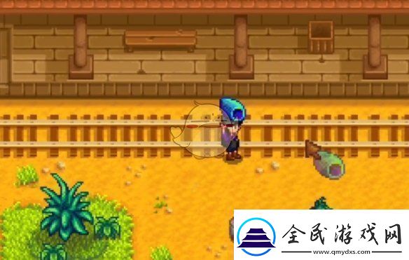 星露谷物語神秘的齊任務怎么做