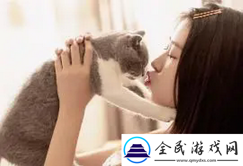 適合夫妻晚上看的愛情電視，網友：看完更加懂得珍惜彼此！