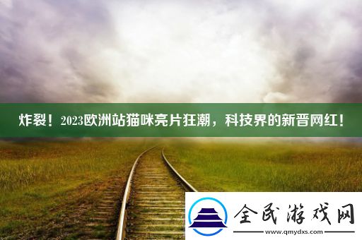 炸裂！2023歐洲站貓咪亮片狂潮科技界的新晉紅！