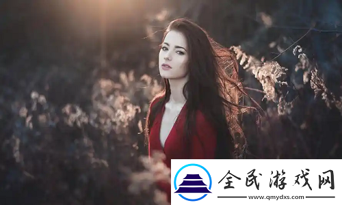 78w78成品站源功能炸裂！網友實測