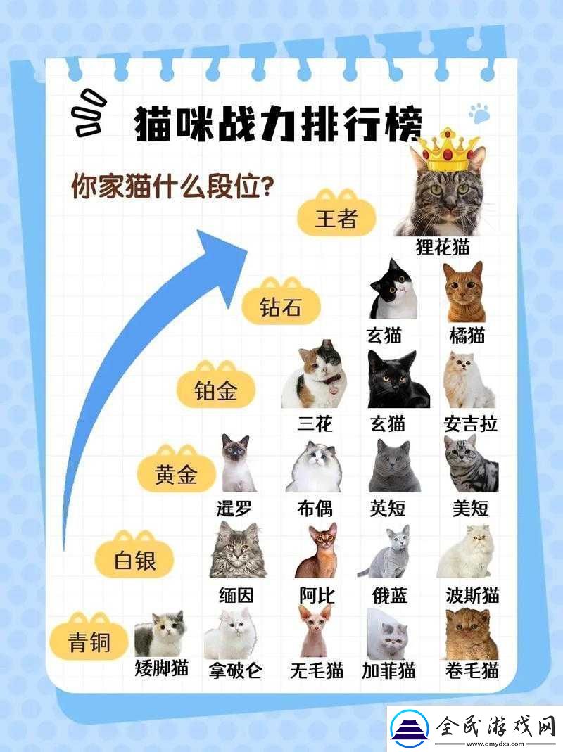星戰(zhàn)少女戰(zhàn)力飆升指南