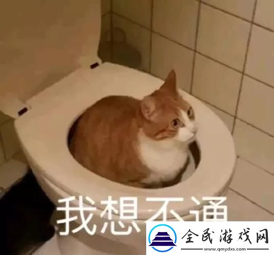 生日花落歸途胖子的科技狂想曲