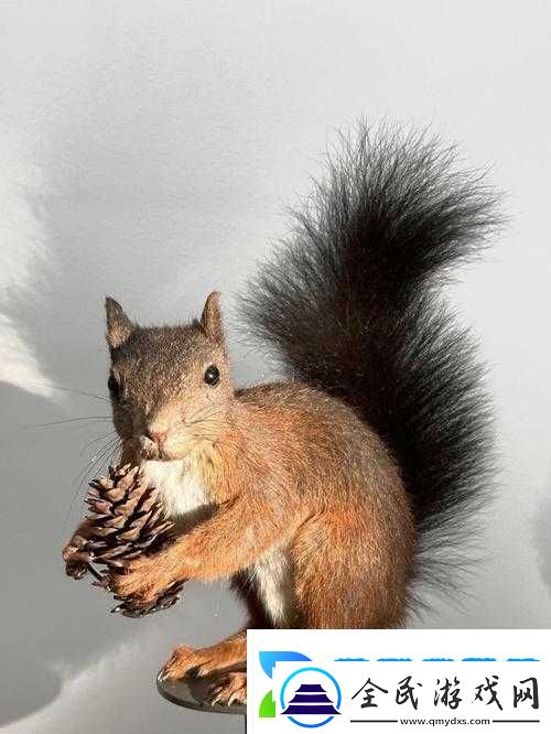 日本毛茸茸的可愛小動物們