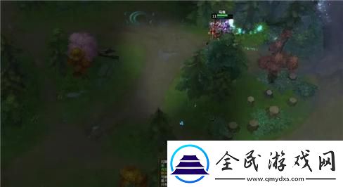 飛禽走獸***游戲操作指南與技巧詳解