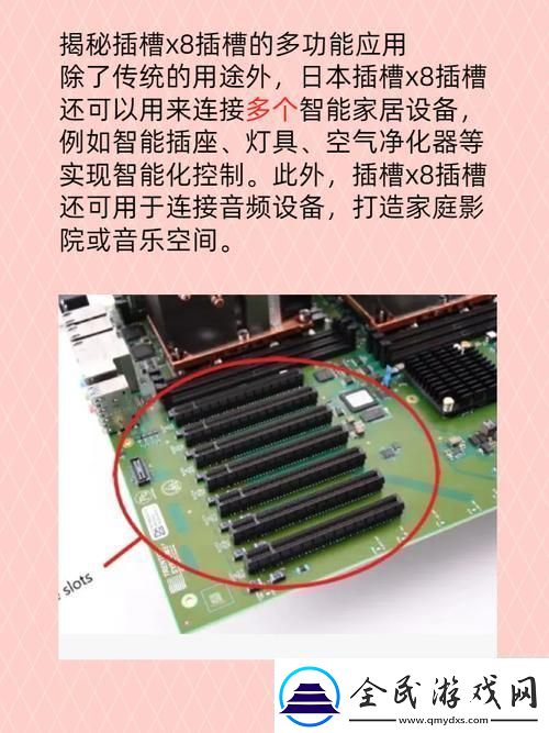 X8插槽