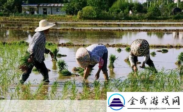 夫妻插秧100種方法圖片大全