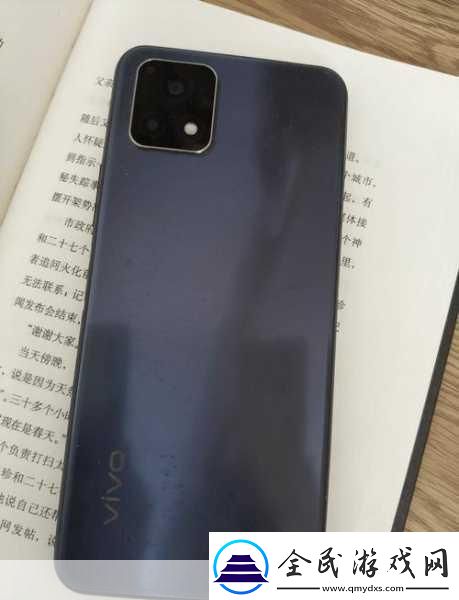 一級成色好的y31s標準版