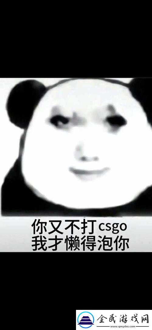 暴躁老姐的