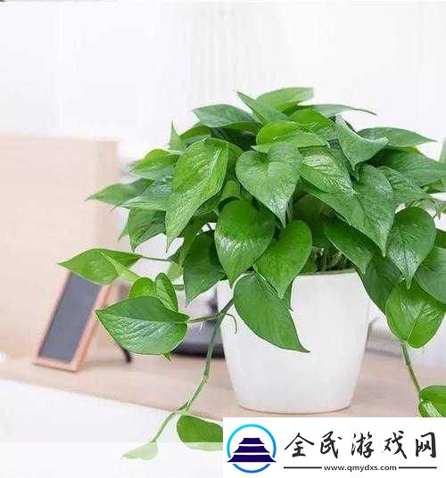 寶寶來種樹紅包版
