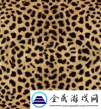 豹紋**的獨特魅力與別樣風情探討