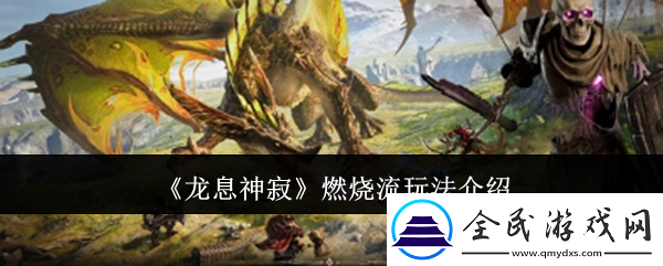 龍息神寂燃燒流玩法介紹